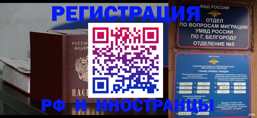 прописка 2025 в Обояни